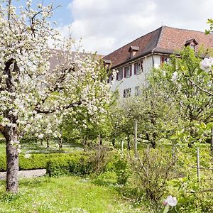 Kloster Dornach / Basel